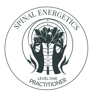 spinal energetics certificate